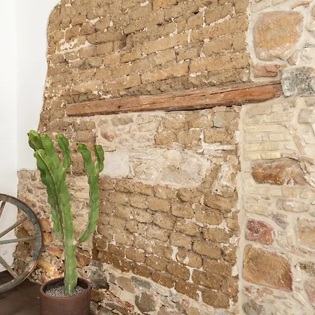 ホテル Aras Boutique ヴィッラシミーウス